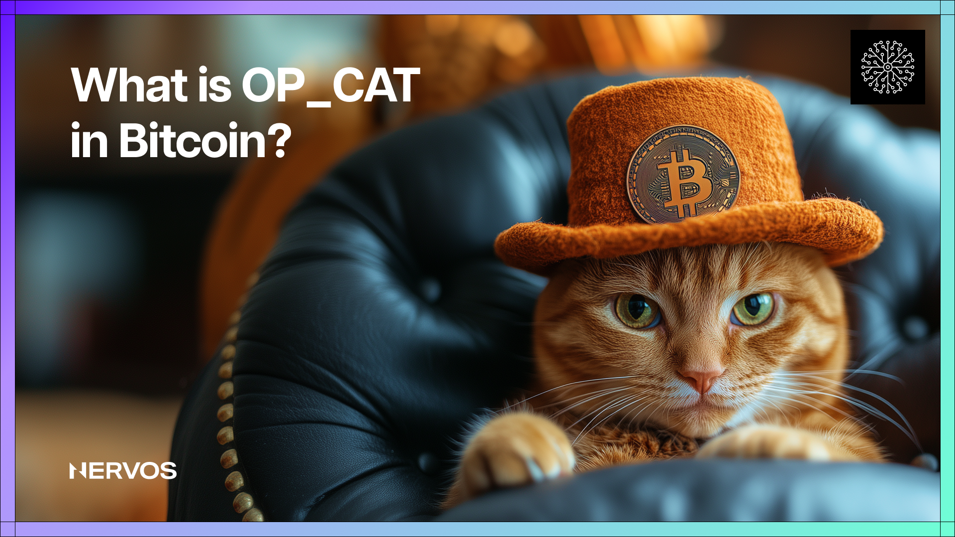 What is OP_CAT in Bitcoin? History, Use Cases, and Impact